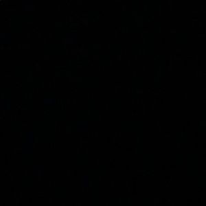 Meet your Posher, Ginni